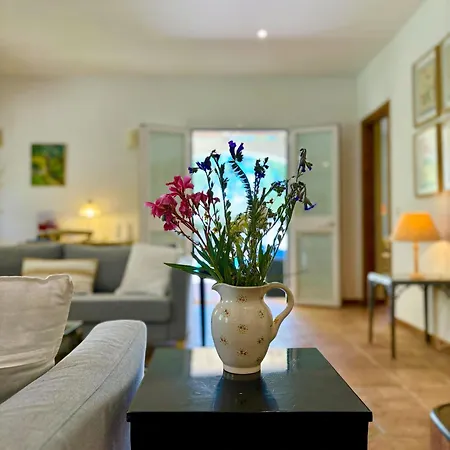 Olivos Holiday home *