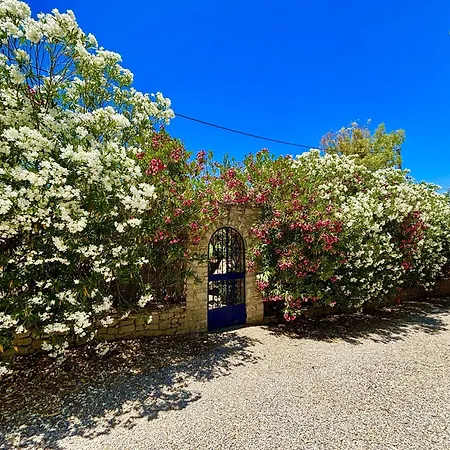 Olivos Holiday home Ronda