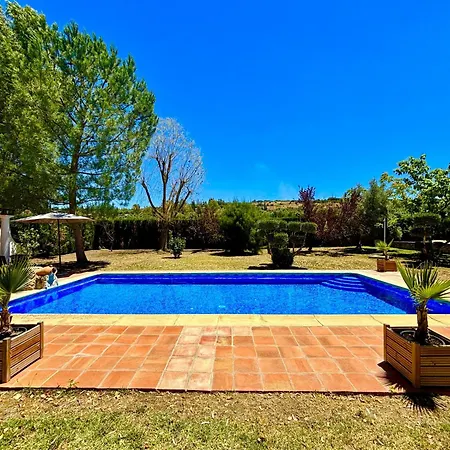 Olivos Ronda