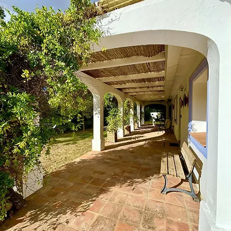Olivos