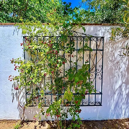 Olivos Holiday home *