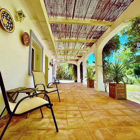 Olivos